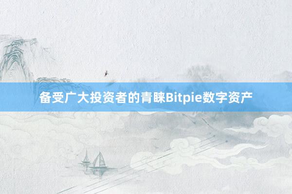 备受广大投资者的青睐Bitpie数字资产