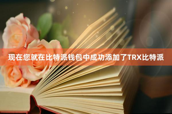 现在您就在比特派钱包中成功添加了TRX比特派