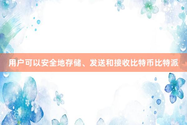 用户可以安全地存储、发送和接收比特币比特派