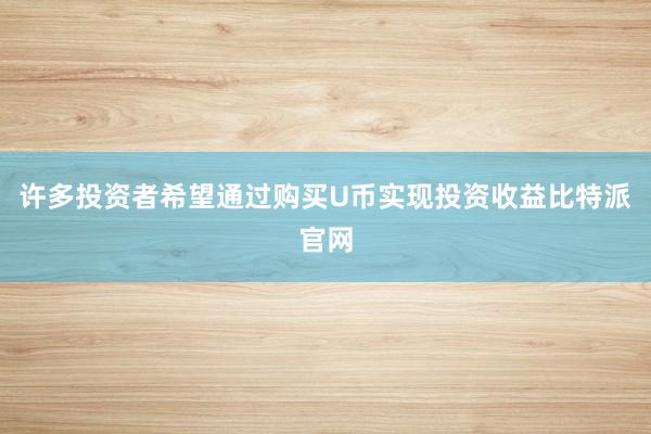 许多投资者希望通过购买U币实现投资收益比特派官网