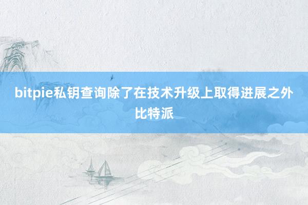 bitpie私钥查询除了在技术升级上取得进展之外比特派