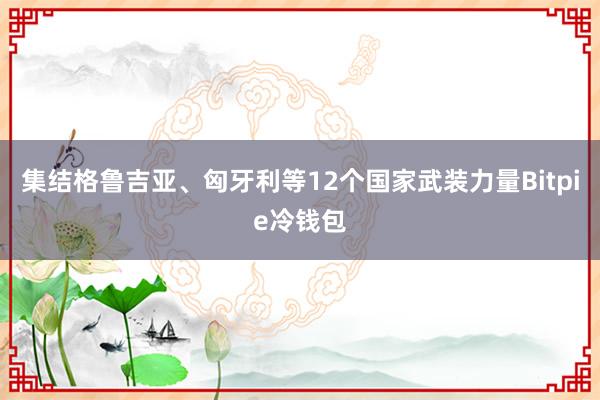 集结格鲁吉亚、匈牙利等12个国家武装力量Bitpie冷钱包