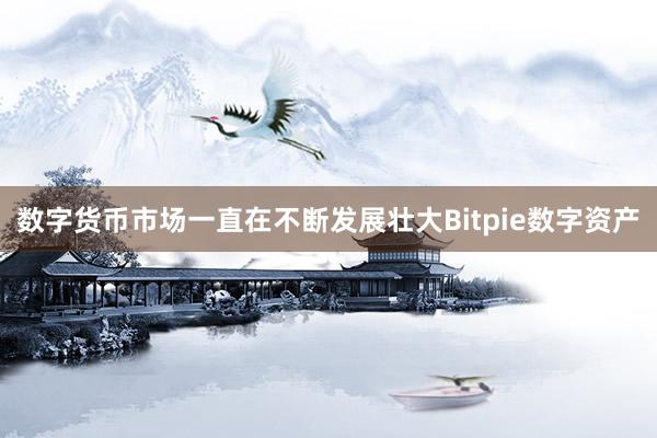 数字货币市场一直在不断发展壮大Bitpie数字资产