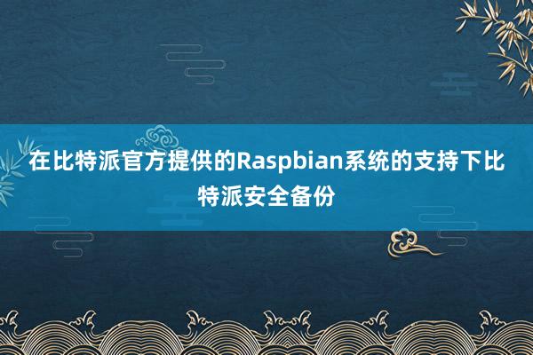 在比特派官方提供的Raspbian系统的支持下比特派安全备份