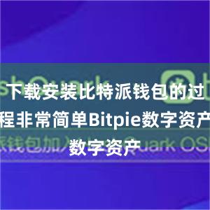 下载安装比特派钱包的过程非常简单Bitpie数字资产